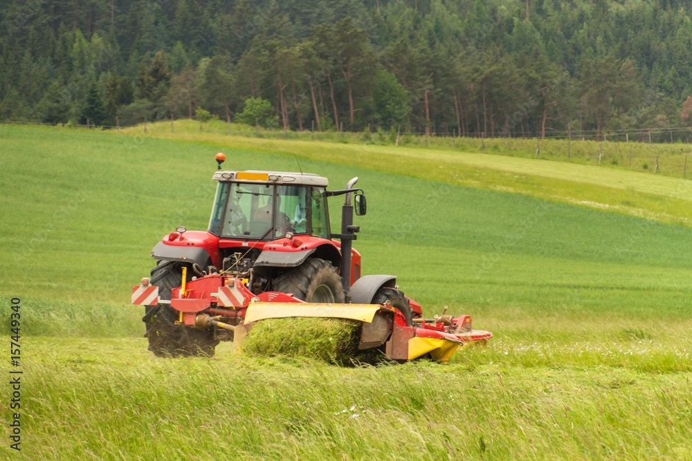 Obraz premium Work on an agricultural farm. A red tractor cuts a meadow. 