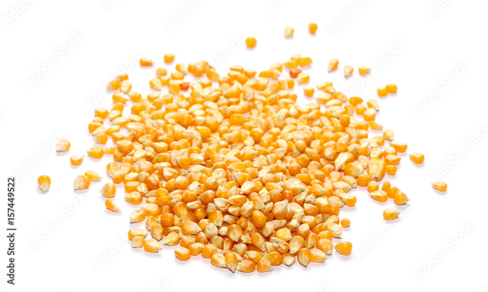 yellow grain corn isolated on white background, for popcorn yellow grain corn isolated on white background, for popcorn