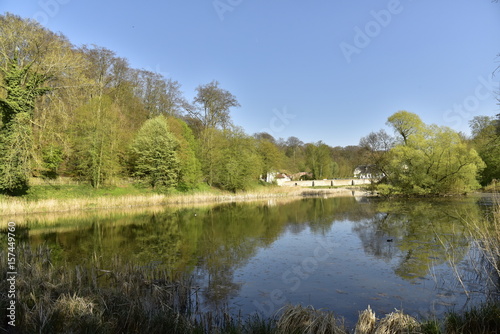 L'effet miroir au petit étang de Lange Gracht à côté de l'abbaye du Rouge-Cloître en pleine forêt de Soignes à Auderghem  photo