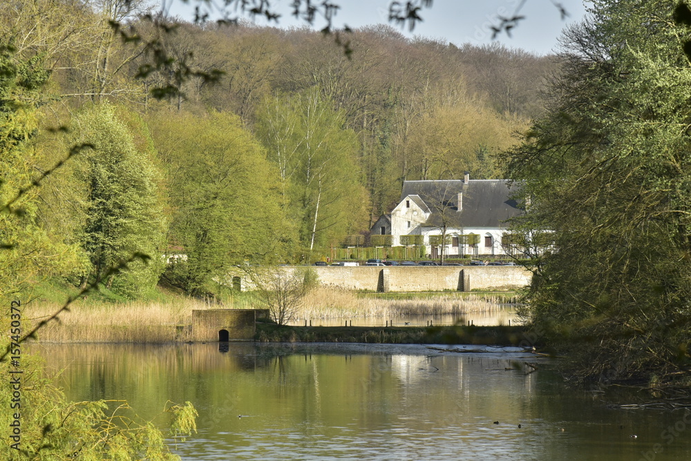 Le grand et le petit étang de Lange Gracht avec à l'arrière plan ,l'abbaye du Rouge Cloître en pleine nature de la forêt de Soignes à Auderghem Le grand et le petit étang de Lange Gracht avec à l'arrière plan ,l'abbaye du Rouge Cloître en pleine nature de la forêt de Soignes à Auderghem