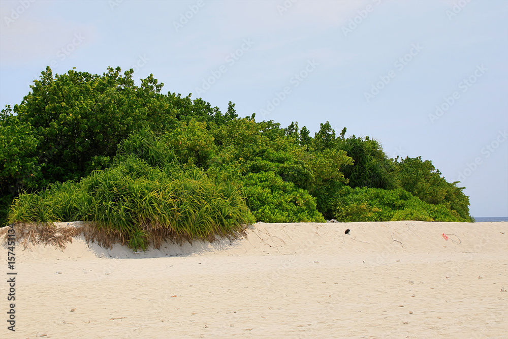 Beautiful beach on Ukulhas at Maldives Beautiful beach on Ukulhas at Maldives