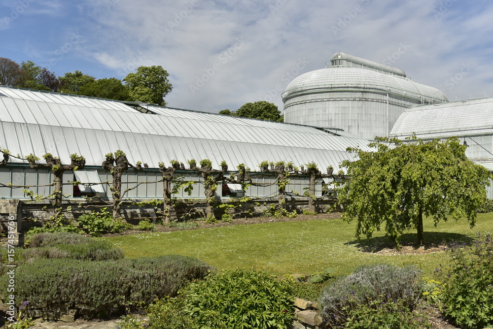 L'une des sections des Serres Royales de Laeken enduite de chaux pour protéger les plantes exceptionnelles contre les rayonnement du soleil 