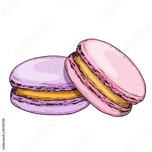 Sketch colorful graphic macarons cakes illustration, draft silhouette drawing, isolated on white background. Delicious vintage etching food design.