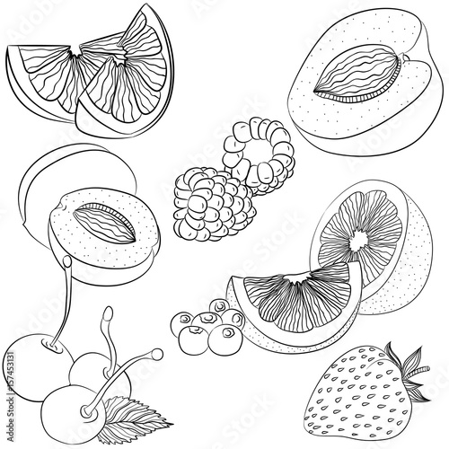 Vector line art illustration with food. Set with various fruits and berries. Illustration for menu, cookbook or coloring book. Sketch isolated on white background