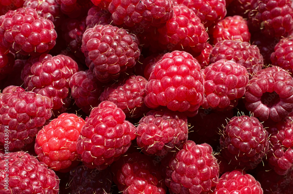 Raspberries background close up Raspberries background close up