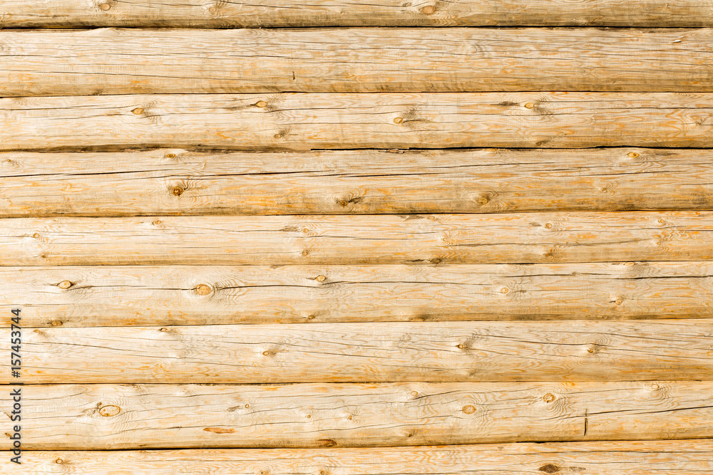 wooden wall from logs, house, pine, conifer, trees, building, backdrop, texture, close-up wooden wall from logs, house, pine, conifer, trees, building, backdrop, texture, close-up
