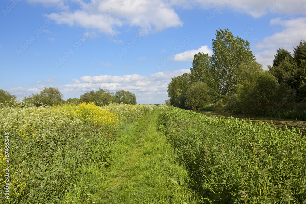 grassy towpath in summer