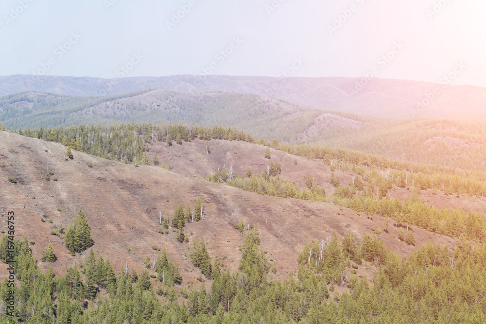beautiful wild nature with pine forests, high mountain steppe