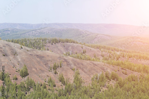 beautiful wild nature with pine forests, high mountain steppe