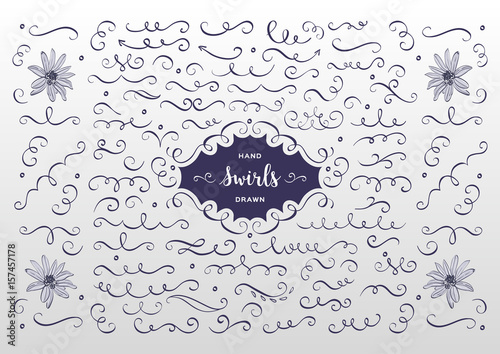 Vector swirls and flourish collection. Hand drawn design elements, flowers sketch