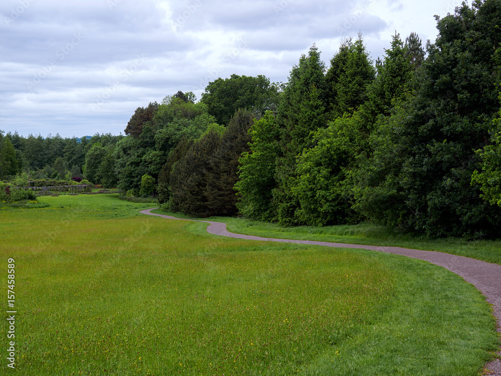 Naklejka premium summer countryside,Northern Ireland