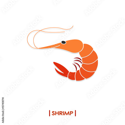 Shrimp icon isolated on white background