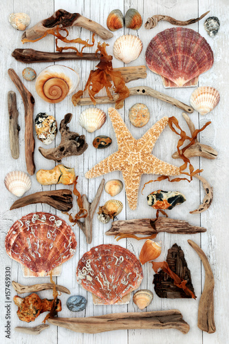 Seashell, driftwood, seaweed and rock abstract collage on white wood background featuring starfish and scallop shells.