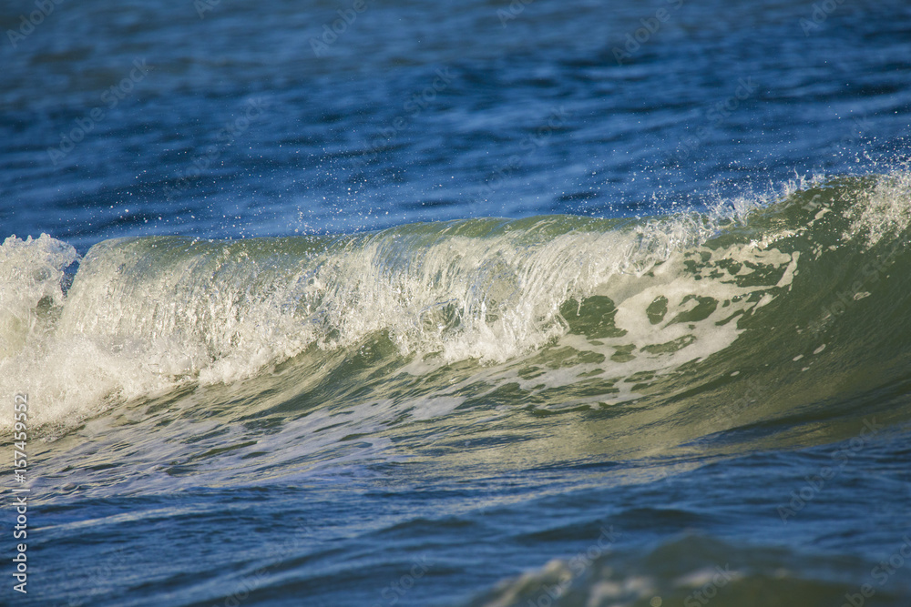 Fototapeta premium Atlantic Ocean Waves in Cape Cod