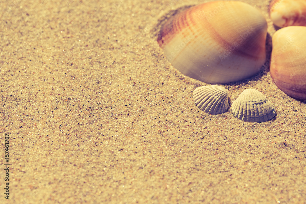 Summer beach with a starfish on a background. Summer beach background. Summer beach with a starfish on a background. Summer beach background.