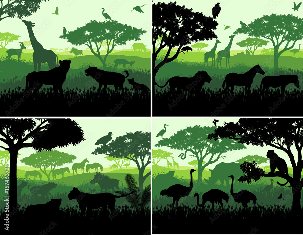 set of Vector illustrations of african savannah safari landscape with wildlife animals silhouettes in sunset design templates - obrazy, fototapety, plakaty 