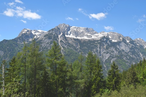 Typical view of Austrian alps with mountains and trees