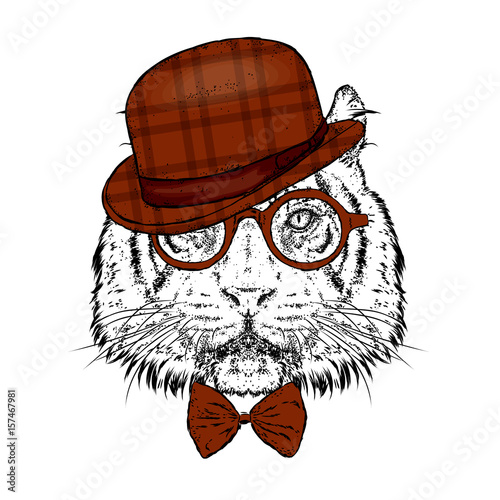 Fototapeta Naklejka Na Ścianę i Meble -  A beautiful tiger with a hat and glasses. Vector illustration. Wild animal, predator.