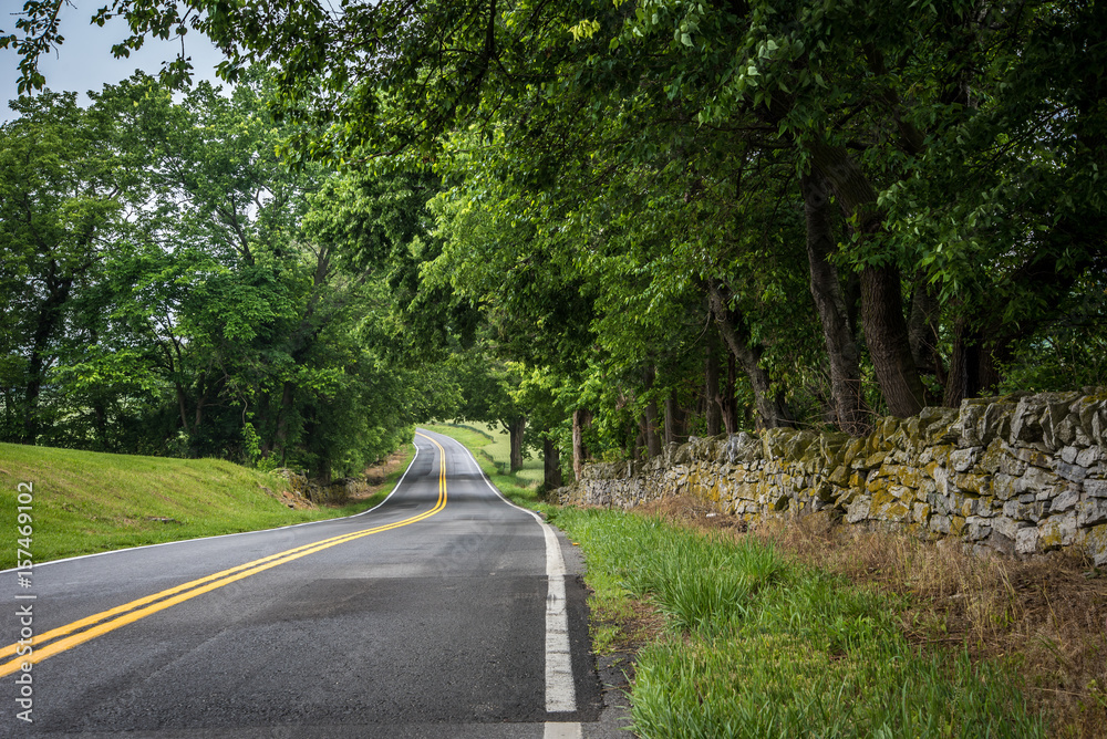 Obraz premium Open Road Landscape 