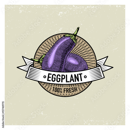 Carrot Vintage set of labels, emblems or logo for vegeterian food, vegetables hand drawn or engraved. Retro farm american style.