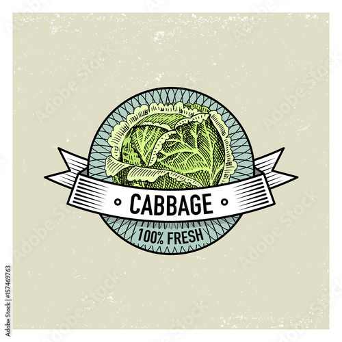 Cabbage Vintage set of labels, emblems or logo for vegeterian food, vegetables hand drawn or engraved. Retro farm american style.