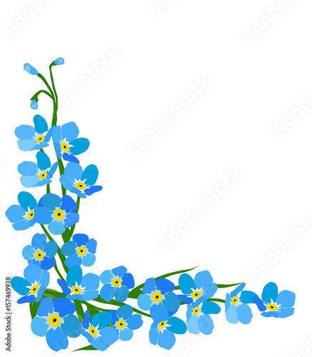 Forget Me Not Flower