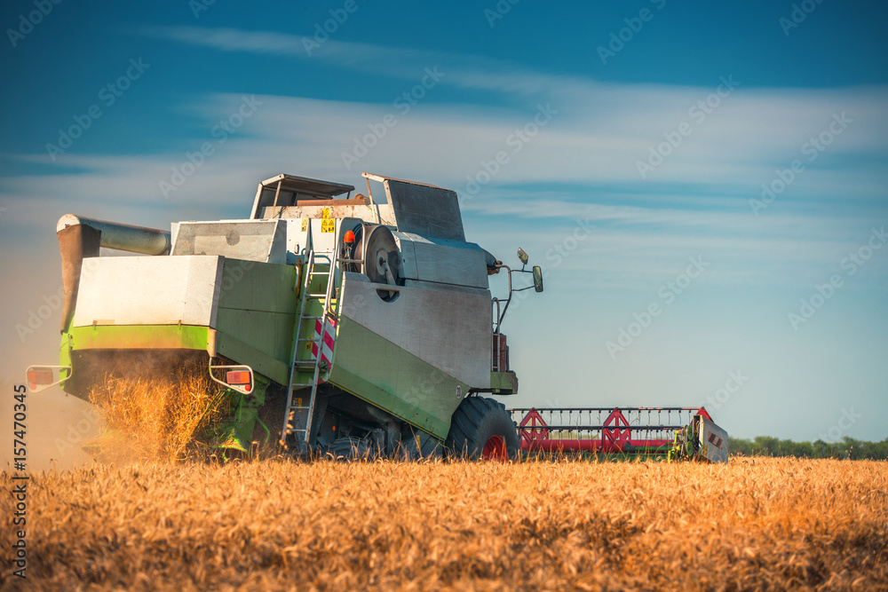 Obraz premium Combine harvester agriculture machine harvesting golden ripe wheat field