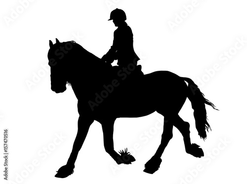 Silhouette of Female Rider on Lipizzaner horse