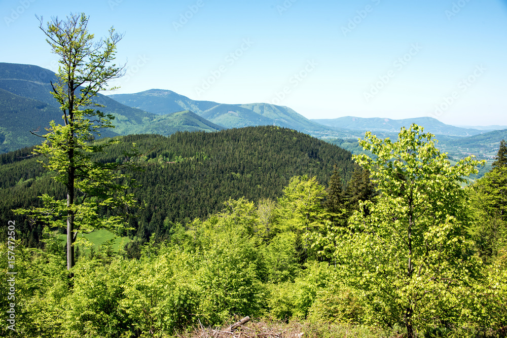 Obraz premium Widok na wiosenne, zielone wzgórza.