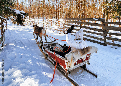 Girl while reindeer sledge ride in winter Rovaniemi © Roman Babakin
