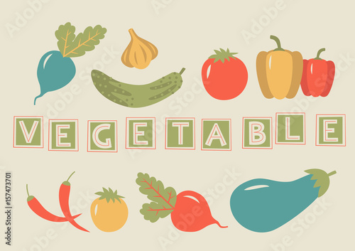 Farmer's market. Set of different vegetables. Fresh organic food. Vector illustration