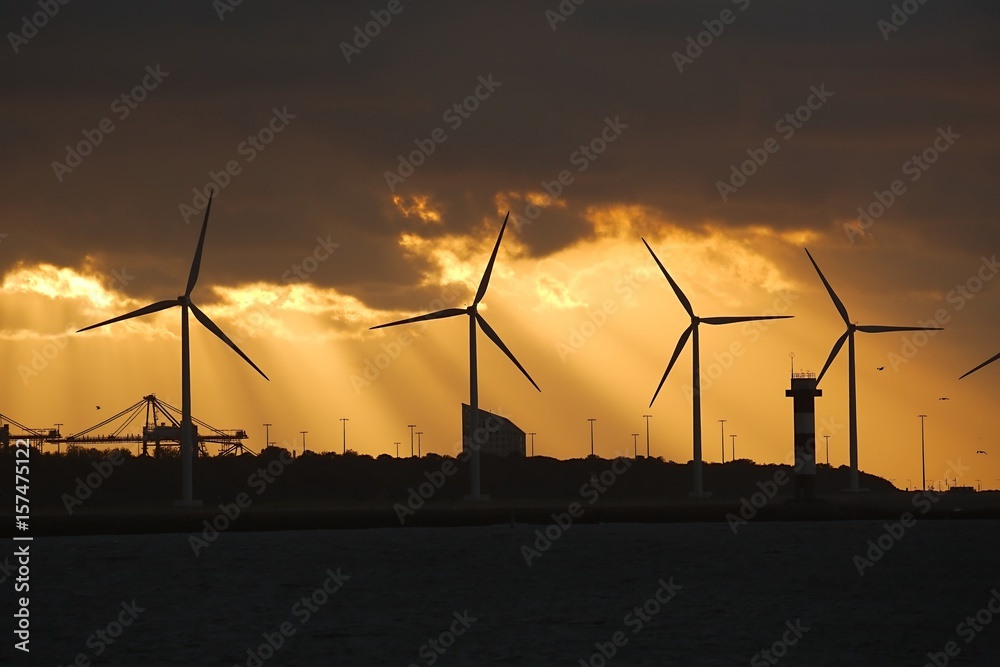 Obraz premium Wind power turbines