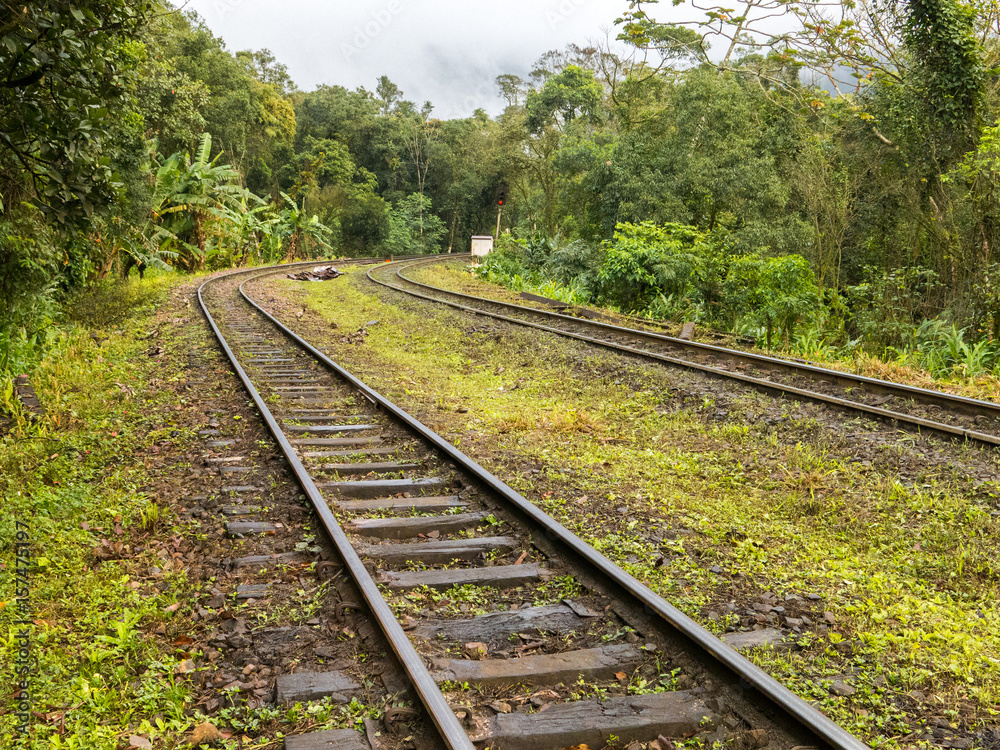 Fototapeta premium Train tracks in brazilian rain forest