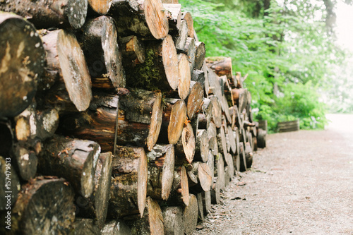 Wood Pile