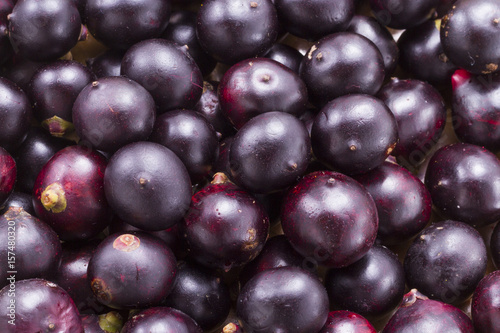 Fruits and acai powder originating from the Amazon  (Euterpe oleracea) photo