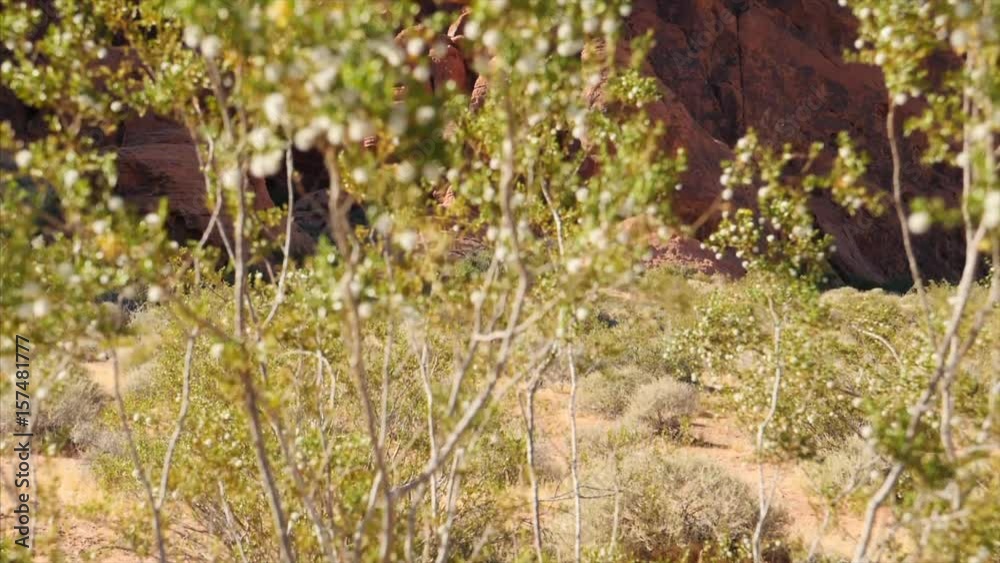 Red rock at Valley of Fire State Park in Nevada, slow motion landscape Red rock at Valley of Fire State Park in Nevada, slow motion landscape