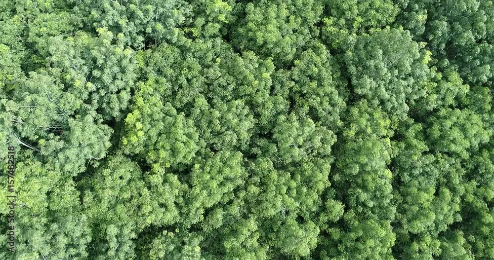 Aerial view of rianforest of thailand. Aerial view of rianforest of thailand.