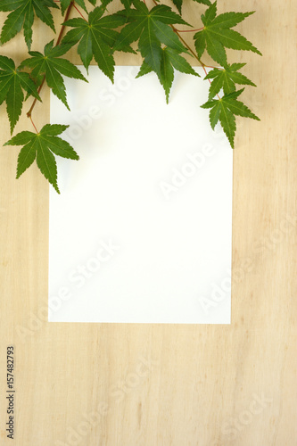 モミジの葉と白紙 木目背景