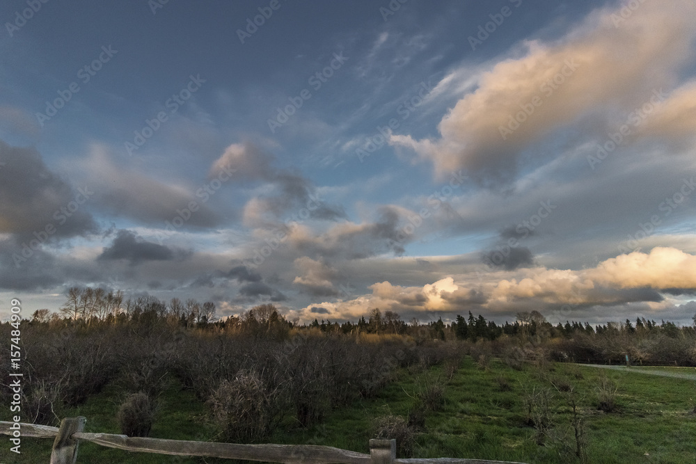 Bellevue Sky Bellevue Sky