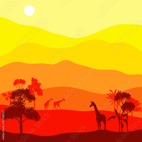 vector landscape with giraffes