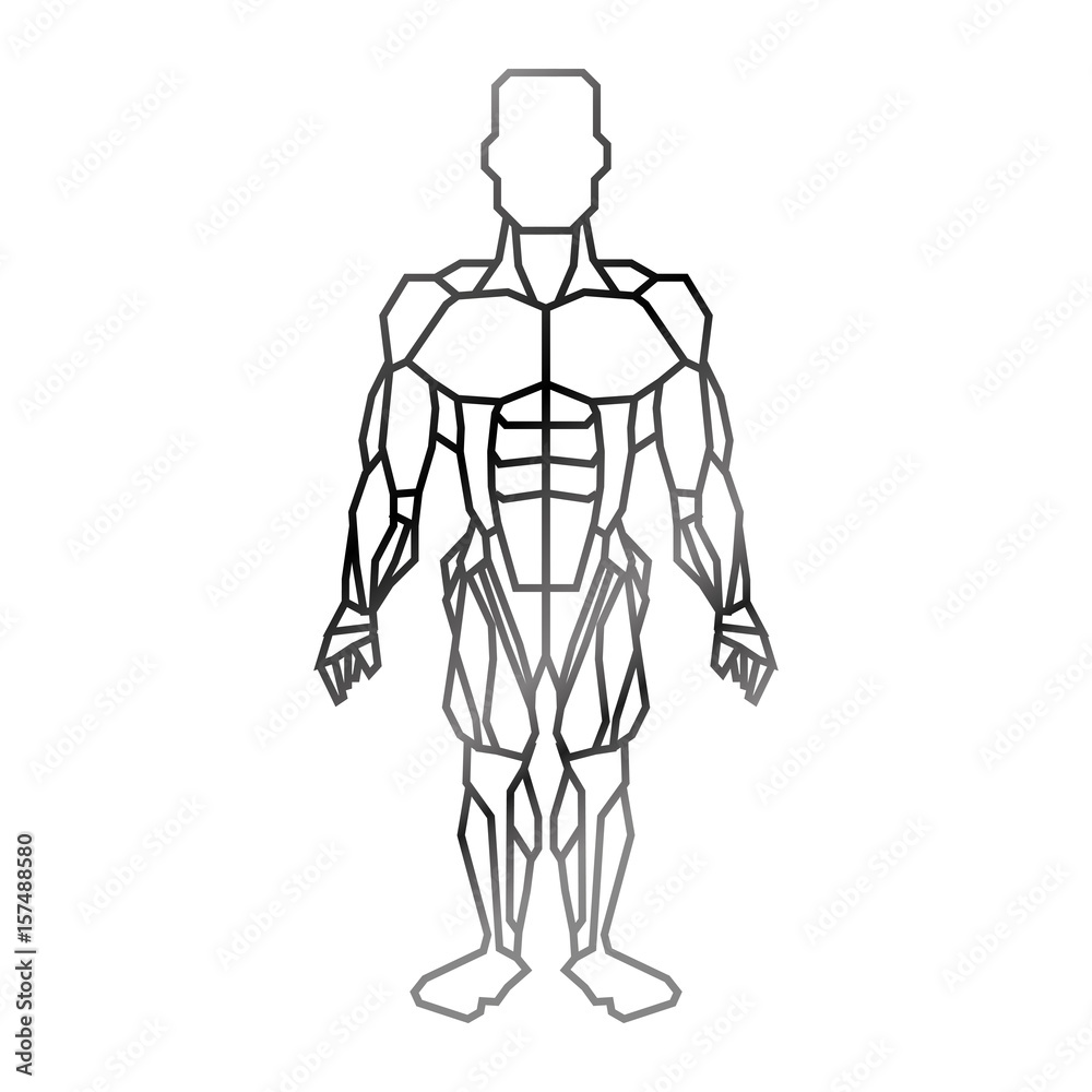 Human male muscles icon vector illustration graphic design