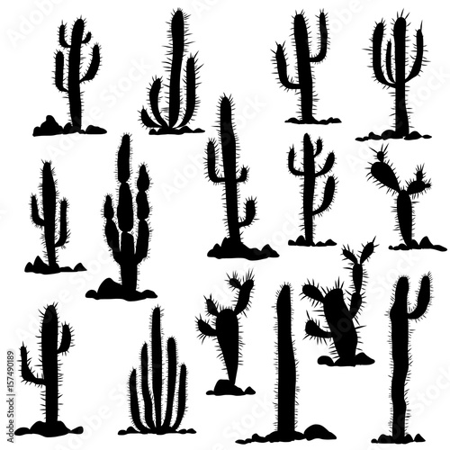 silhouettes of cactuses and stones