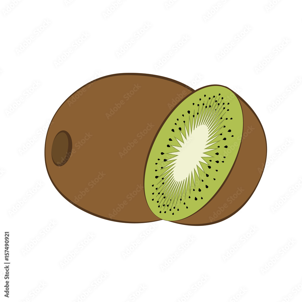 Obraz premium Flat icon kiwi and slice of kiwi. Vector