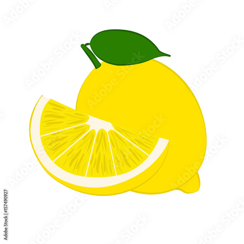 Fresh lemons vector illustration