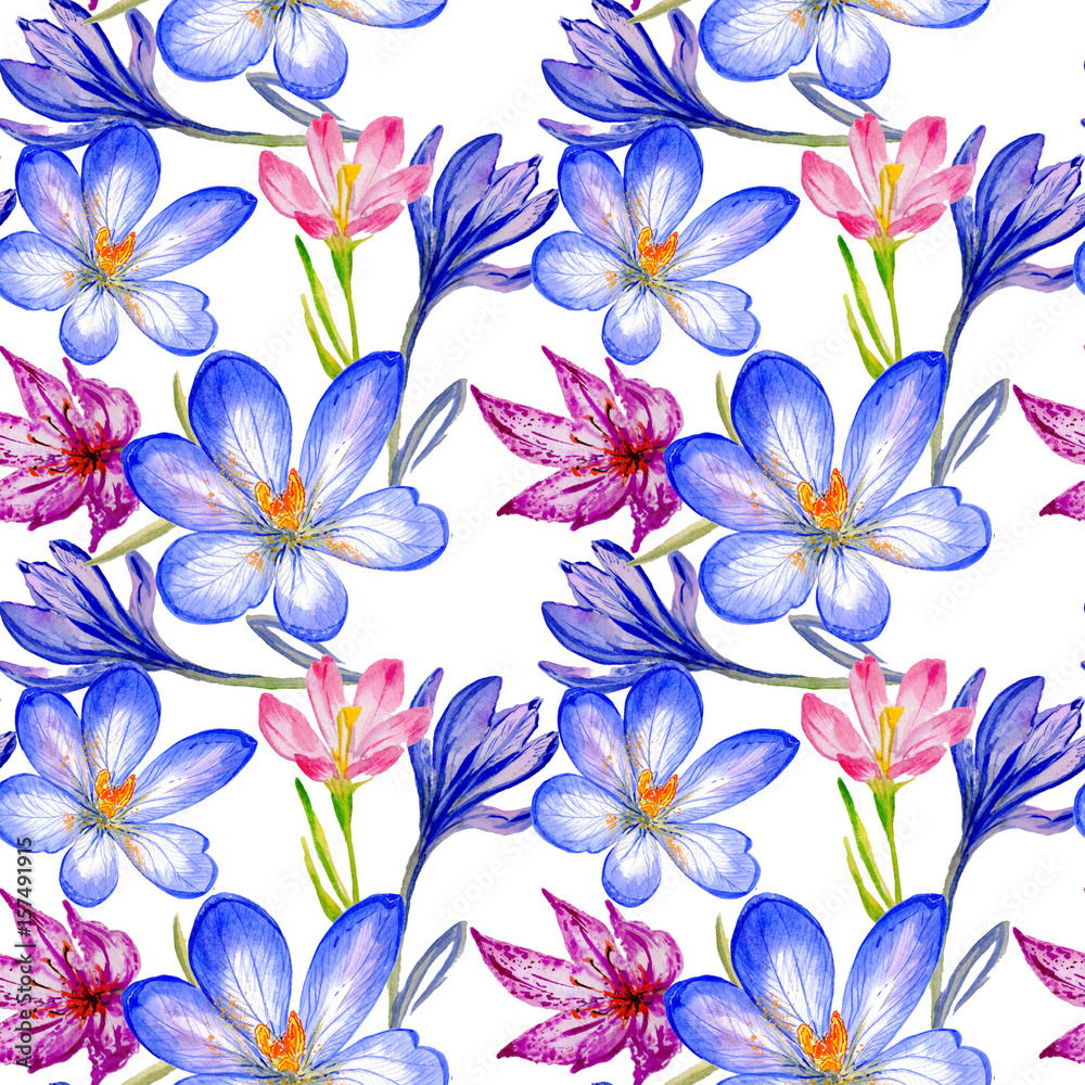Wildflower crocuses flower pattern in a watercolor style isolated. Wildflower crocuses flower pattern in a watercolor style isolated.