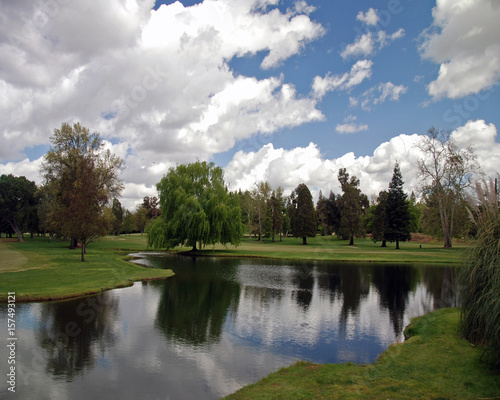Willow Tree by the Lake