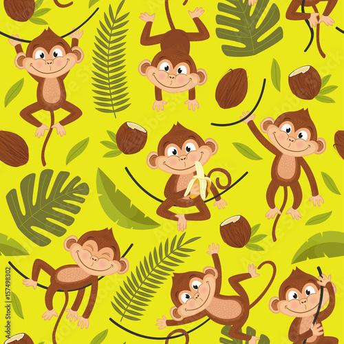 Foto zasłona tropikalny ssak zabawa małpa egzotyczny