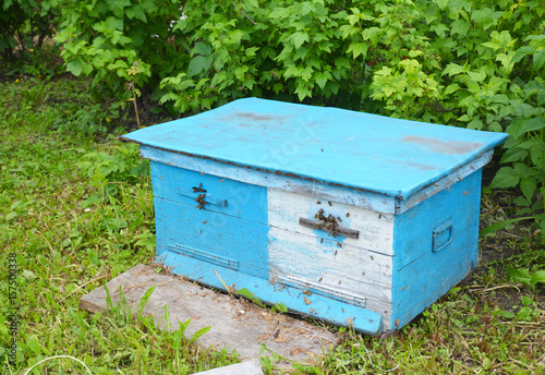 Close up on Wooden Ukrainian Blue Beehive with Garden Background. Natural Beekeeping in Your Backyard. Dadant bee hives.
