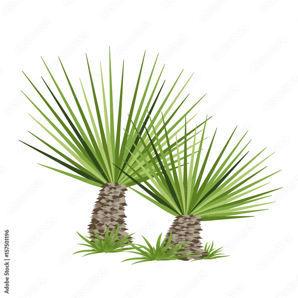 Tropical palm tree. Vector illustration Tropical palm tree. Vector illustration