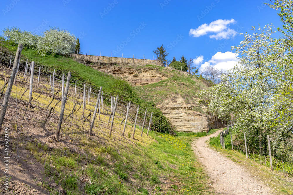 Hiking area Bad Kreuznach in the spring